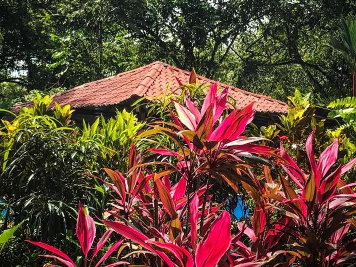 Casa Colores Montezuma Buitenkant foto