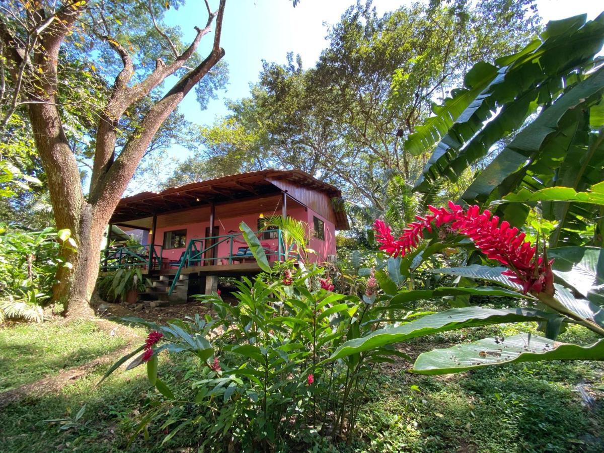 Casa Colores Montezuma Buitenkant foto