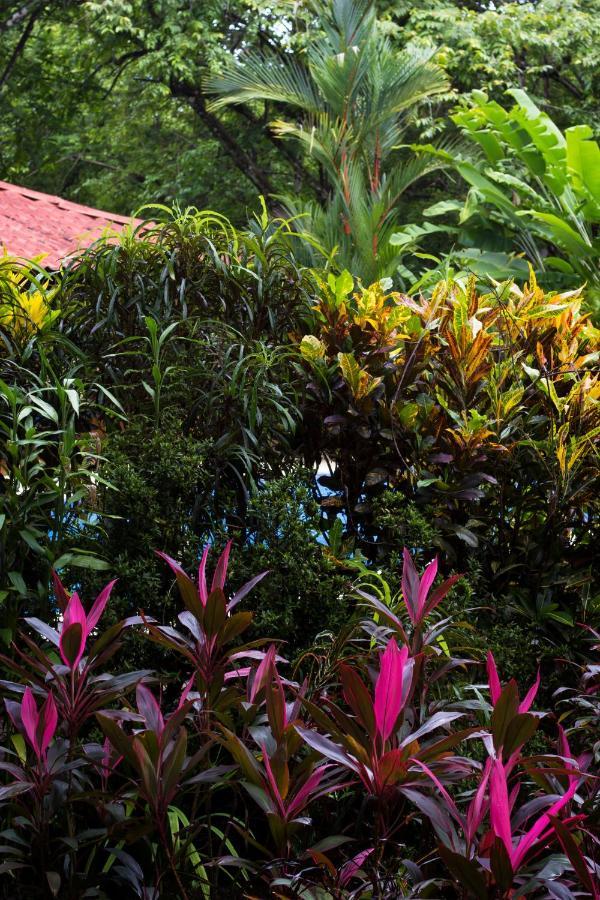 Casa Colores Montezuma Buitenkant foto