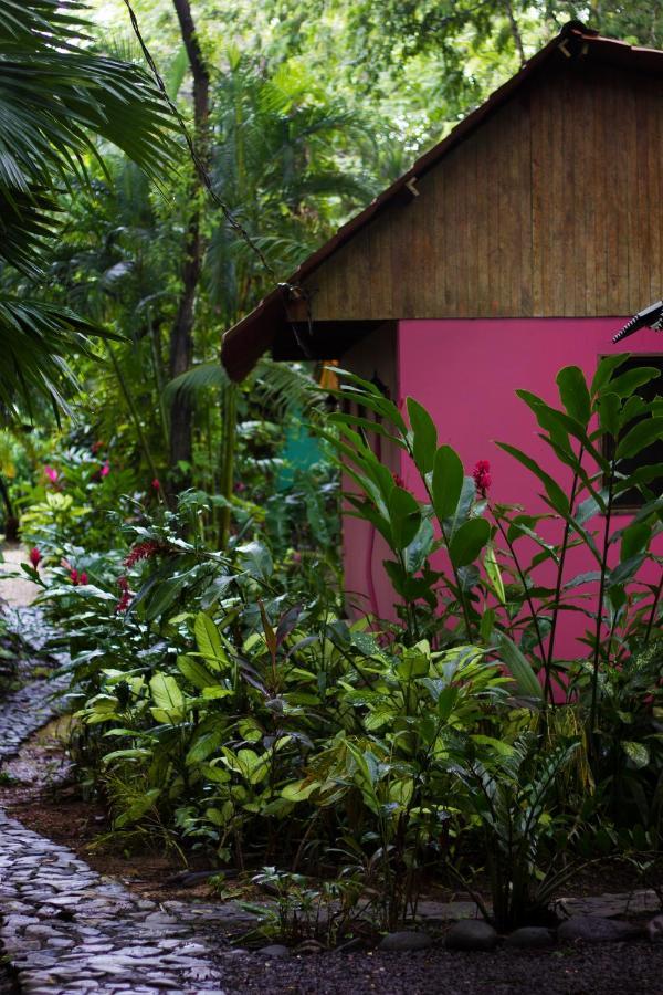 Casa Colores Montezuma Buitenkant foto
